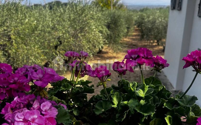 Appartamento in villa Strada Sant'Angelo 85, Soriano nel Cimino — foto 6 di 11