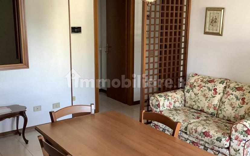 Monolocale piazza Giorgio Amendola 12, Centro, Campagna Lupia — foto 18 di 31
