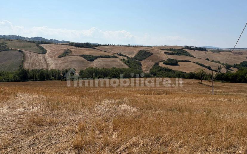 Casa colonica via Sant'Egidio, Urbino — foto 27 di 29