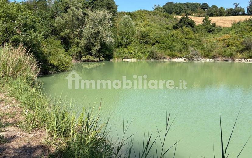 Casa colonica via Sant'Egidio, Urbino — foto 9 di 29