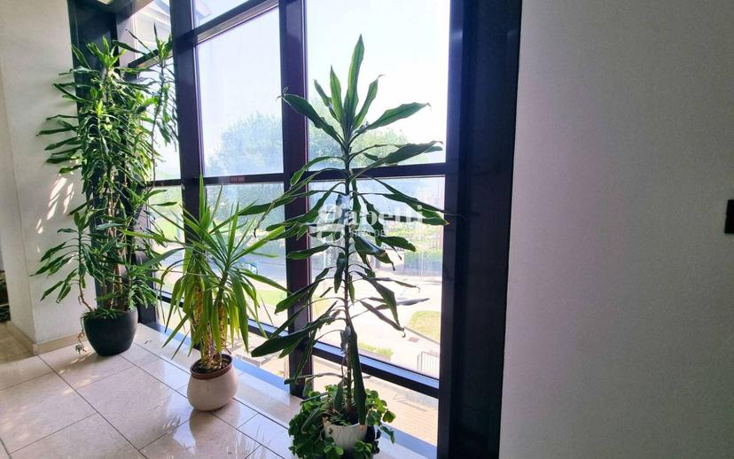 Bilocale via Albola, 175, Centro, Riva del Garda — foto 8 di 18