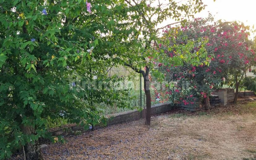 Rustico Sp75, Teramo — foto 8 di 8