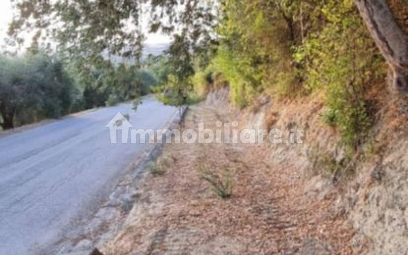 Rustico Sp75, Teramo — foto 2 di 8
