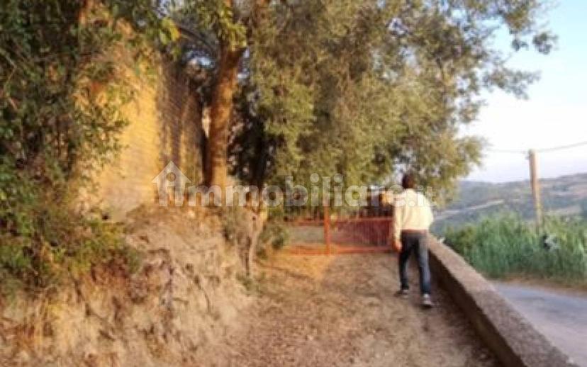 Rustico Sp75, Teramo — foto 6 di 8