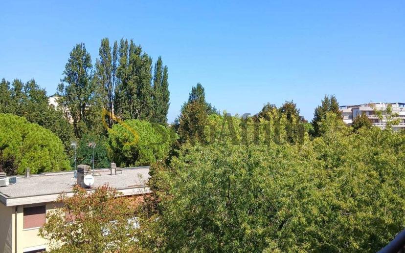 Trilocale viale delle Piante, Celle, Rimini — foto 14 di 21