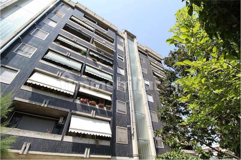 Mansarda via Gorizia , 52/g, Cittadella - Villaggio Dalmazia, Novara — foto 3 di 35