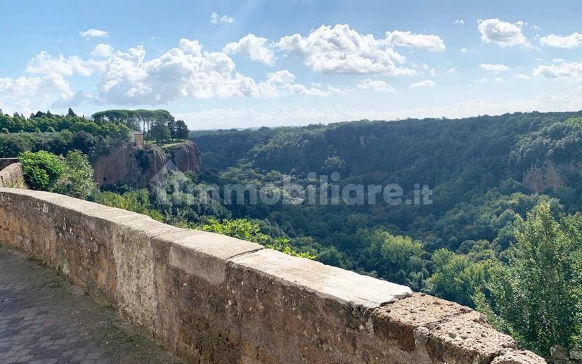 Bilocale via Porta Vecchia, 2, Centro, Castel Sant'Elia — foto 9 di 12
