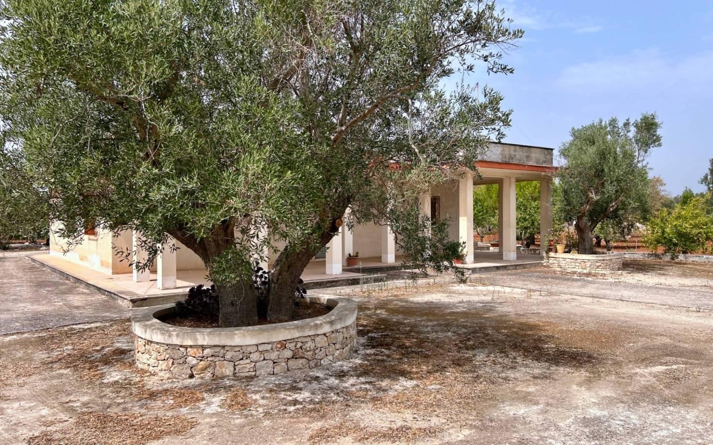 Villa unifamiliare via delle Gardenie 162, Grottaglie