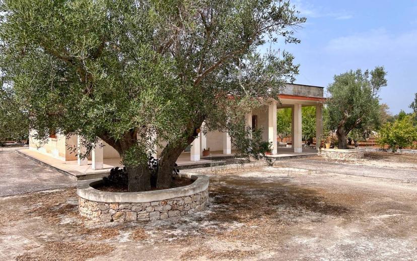 Villa unifamiliare via delle Gardenie 162, Grottaglie