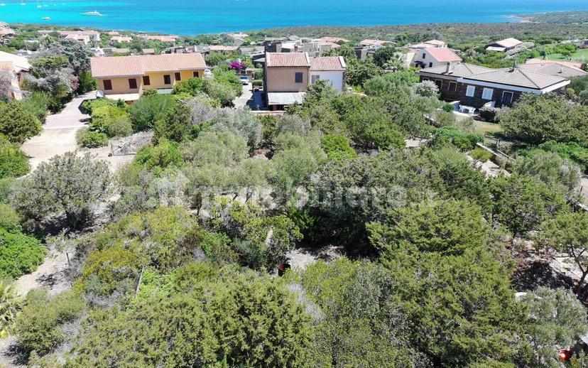 Villa unifamiliare Villaggio Lentischi, Centro, Stintino — foto 14 di 49