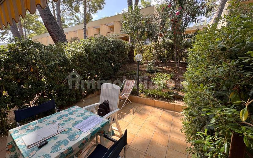 Monolocale Strada Provinciale Vieste Peschici, Peschici — foto 10 di 19