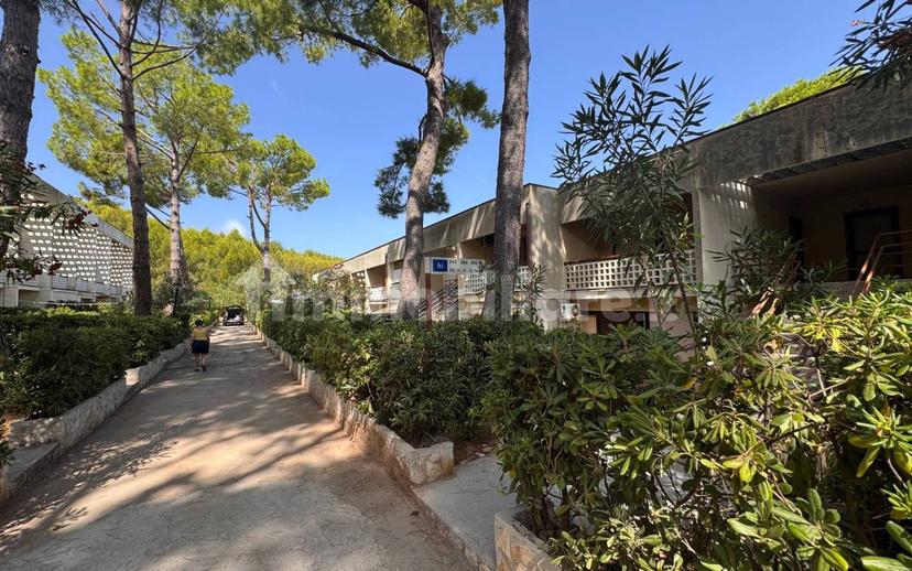 Monolocale Strada Provinciale Vieste Peschici, Peschici — foto 18 di 19