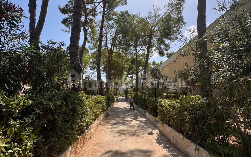 Monolocale Strada Provinciale Vieste Peschici, Peschici