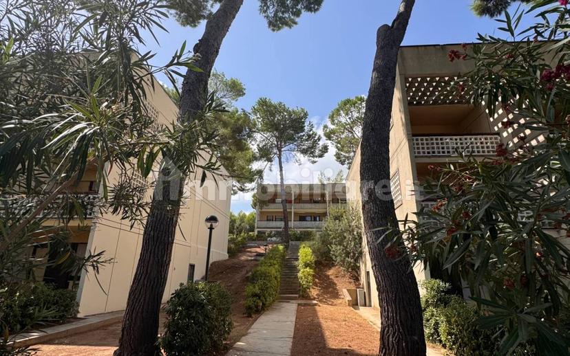 Monolocale Strada Provinciale Vieste Peschici, Peschici — foto 4 di 19
