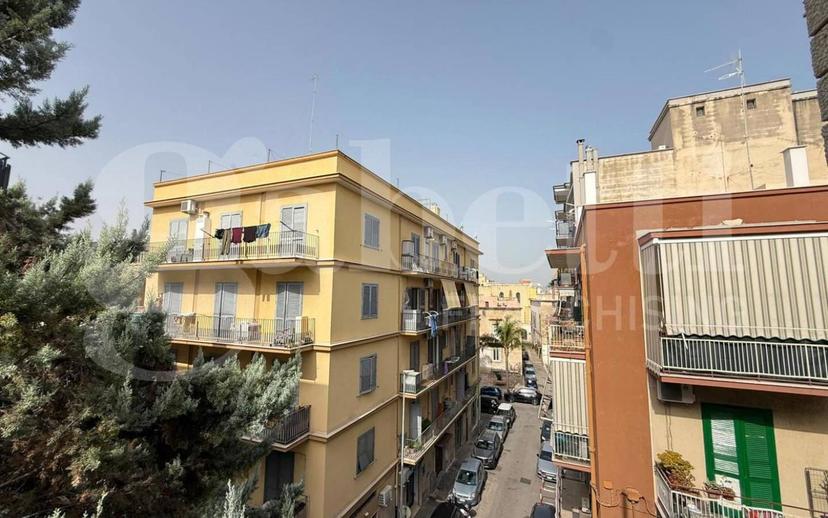 Quadrilocale via Sabino Logoluso, Bisceglie — foto 4 di 23