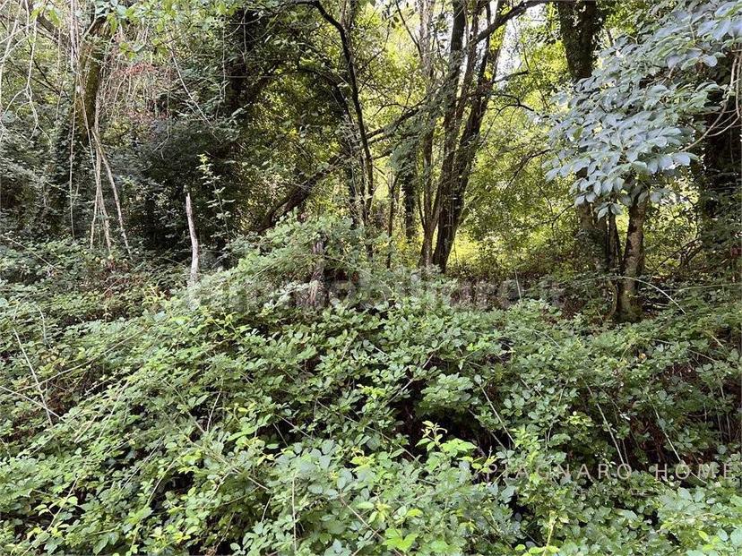 Rustico Navola di Guinadi 13, Pontremoli — foto 3 di 54