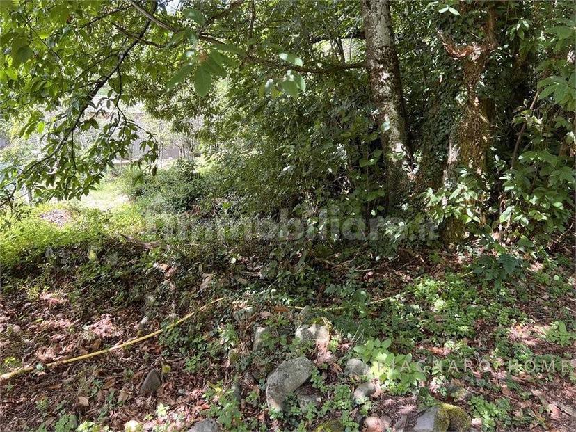 Rustico Navola di Guinadi 13, Pontremoli — foto 24 di 54