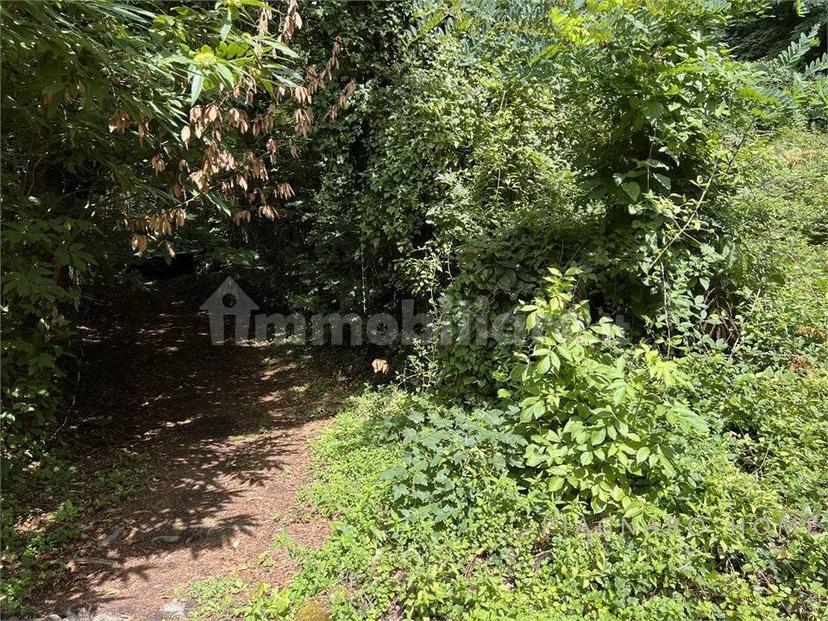 Rustico Navola di Guinadi 13, Pontremoli — foto 26 di 54