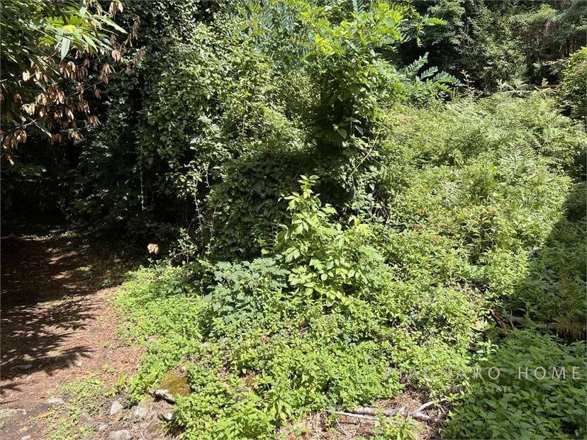 Rustico Navola di Guinadi 13, Pontremoli — foto 50 di 54