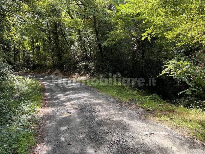 Rustico Navola di Guinadi 13, Pontremoli — foto 23 di 54