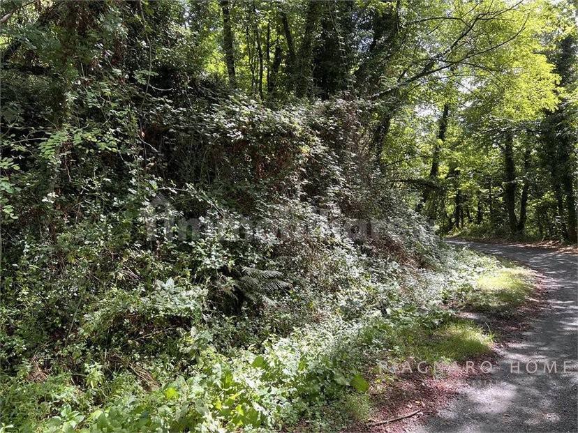 Rustico Navola di Guinadi 13, Pontremoli — foto 21 di 54