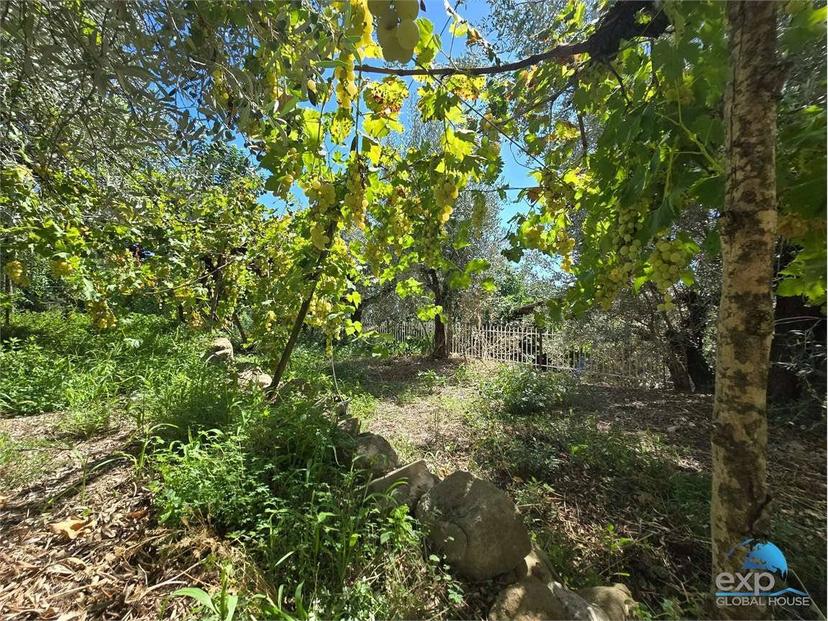 Terratetto unifamiliare 150 m², buono stato, Pozzo, Gualdo Cattaneo — foto 30 di 75
