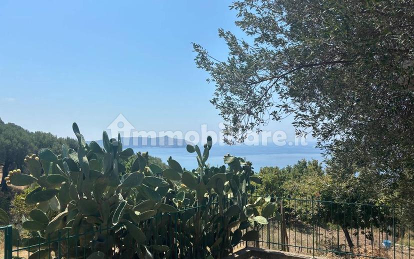 Quadrilocale via dello Sport, Pisciotta — foto 13 di 20