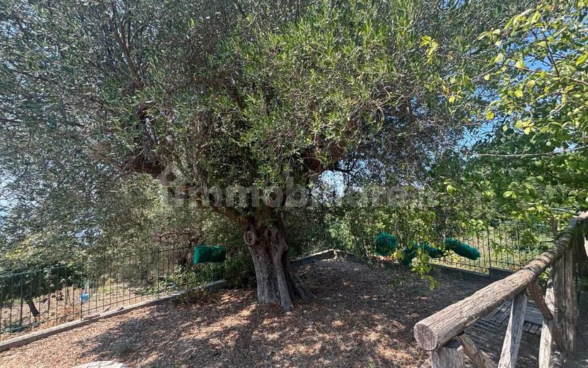 Quadrilocale via dello Sport, Pisciotta — foto 4 di 20