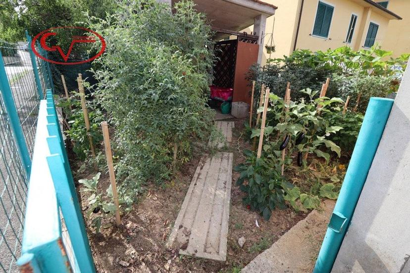 Quadrilocale levane, Montevarchi — foto 11 di 21