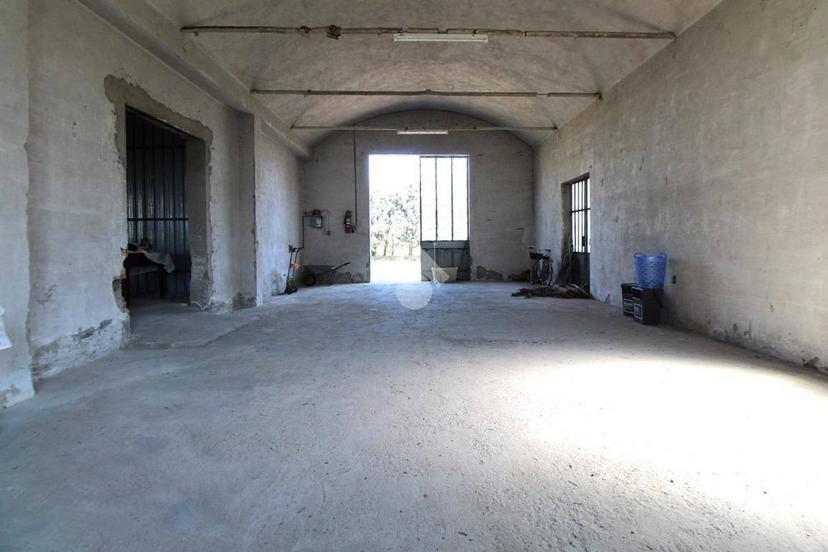 Rustico via Bartolini, San Rocco, Larciano — foto 14 di 15