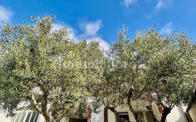 Villa bifamiliare via Santa Chiara 25, Genoni — foto 20 di 26