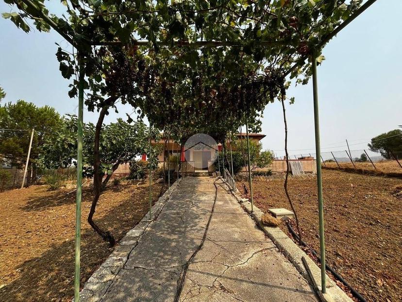 Villa unifamiliare Contrada Mancusi, Villafrati — foto 5 di 35