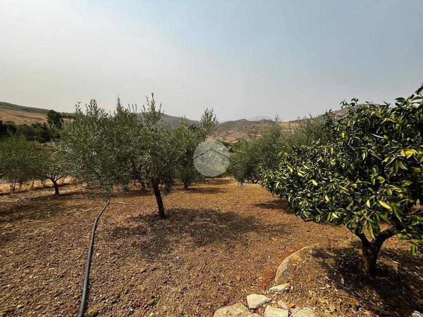 Villa unifamiliare Contrada Mancusi, Villafrati — foto 29 di 35