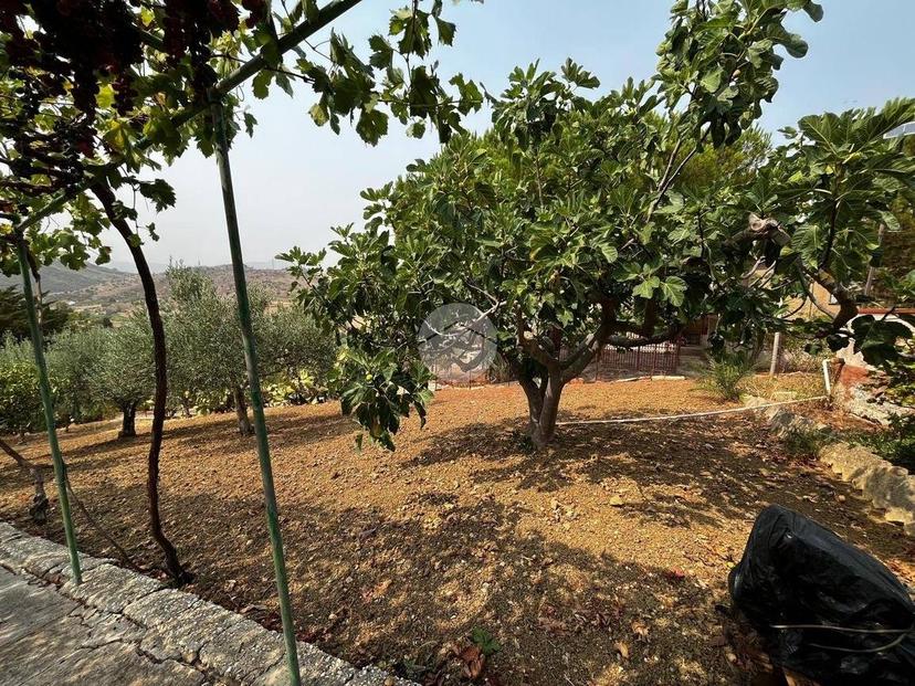 Villa unifamiliare Contrada Mancusi, Villafrati — foto 15 di 35