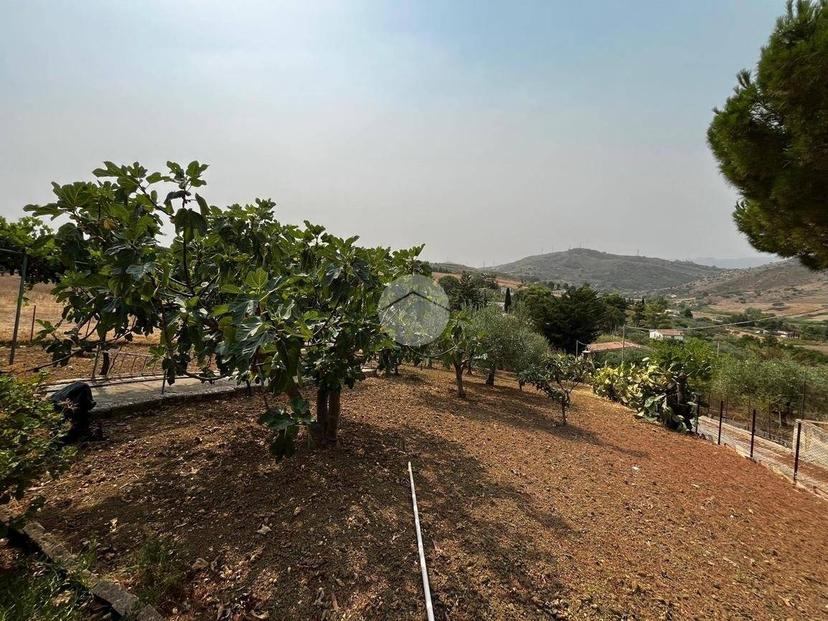 Villa unifamiliare Contrada Mancusi, Villafrati — foto 2 di 35