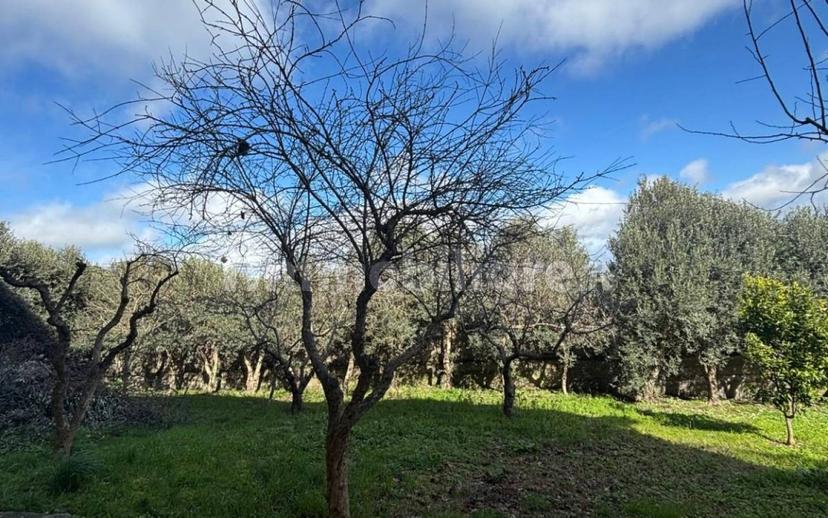 Villa bifamiliare via Santa Chiara 25, Genoni — foto 17 di 26
