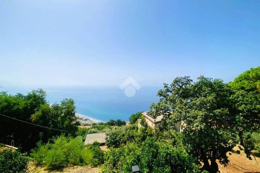 Bilocale Località Arvara, Bosco Arvara, Cetraro — foto 28 di 31