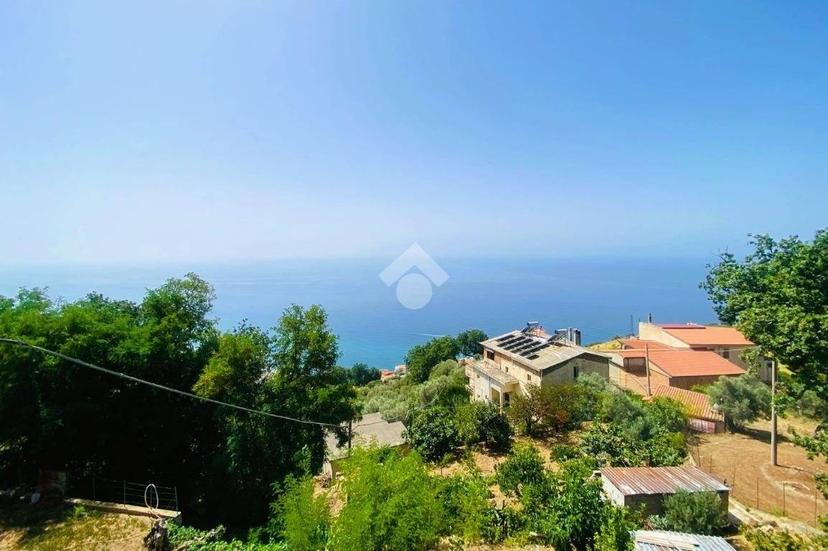 Bilocale Località Arvara, Bosco Arvara, Cetraro — foto 22 di 31