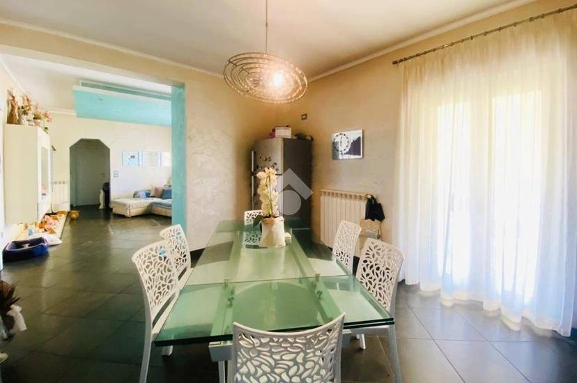 Bilocale Località Arvara, Bosco Arvara, Cetraro — foto 14 di 31