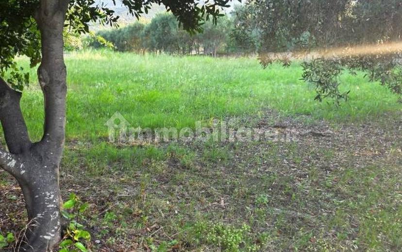 Villa unifamiliare via San Nilo di Rossano 1, Settingiano — foto 7 di 20