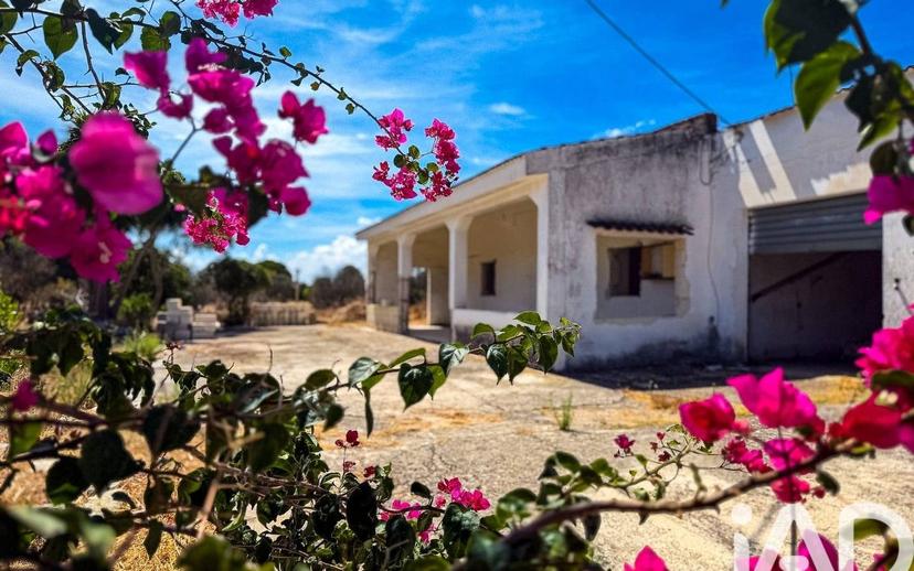 Villa unifamiliare Strada Prima Pizzofalcone, Carovigno — foto 2 di 26