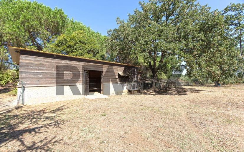Villa unifamiliare, ottimo stato, 450 m², Bassano in Teverina — foto 6 di 103
