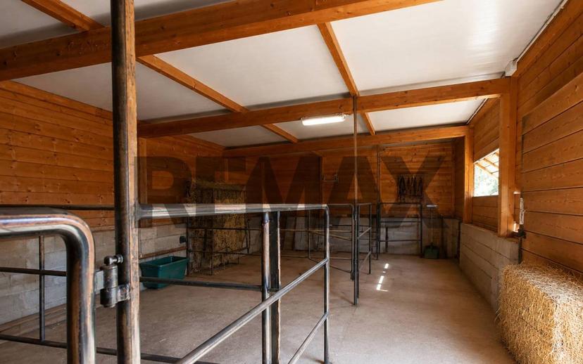 Villa unifamiliare, ottimo stato, 450 m², Bassano in Teverina — foto 94 di 103