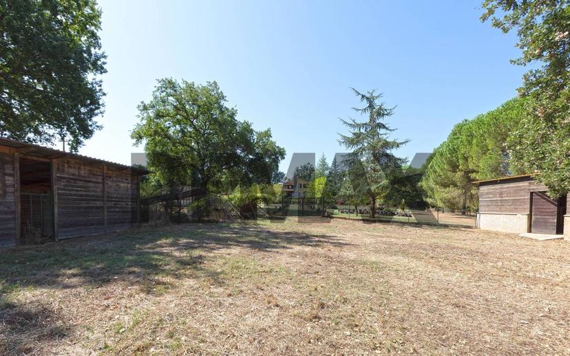 Villa unifamiliare, ottimo stato, 450 m², Bassano in Teverina — foto 98 di 103