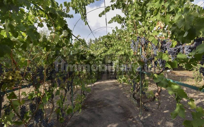Villa bifamiliare via Paternò 333, Ragalna — foto 38 di 74