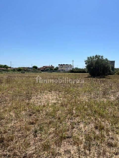 Casale via Genio Civile, Campo di Carne - Pantanelle, Aprilia — foto 10 di 14