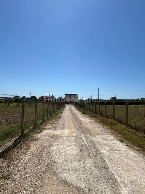 Casale via Genio Civile, Campo di Carne - Pantanelle, Aprilia — foto 4 di 14