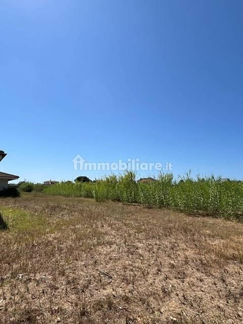 Casale via Genio Civile, Campo di Carne - Pantanelle, Aprilia — foto 11 di 14
