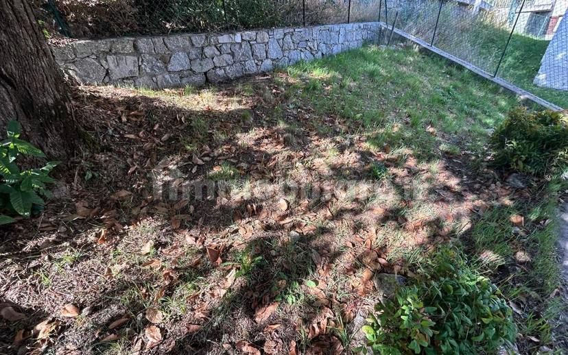 Trilocale frazione Naguarido, Civo — foto 13 di 19