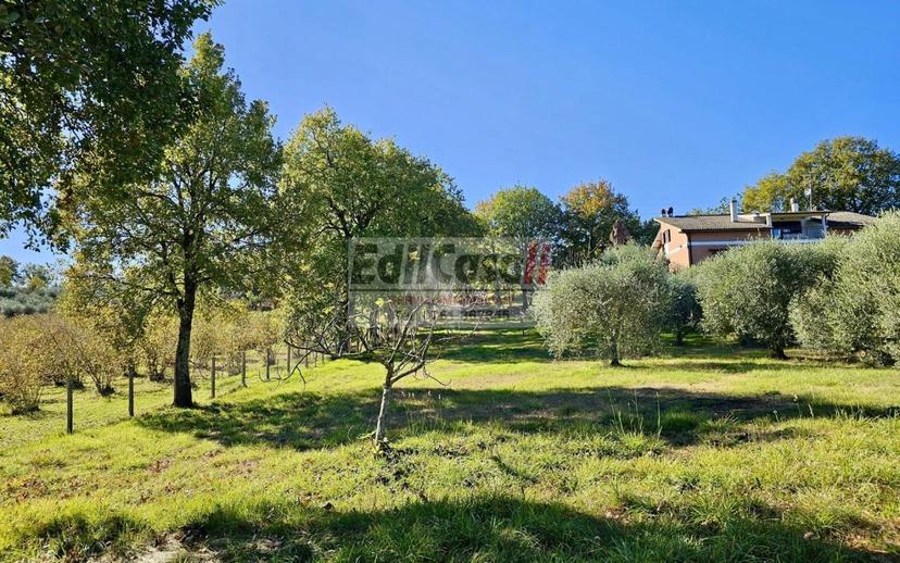 Villa plurifamiliare via Ortana, Bassano in Teverina — foto 10 di 40